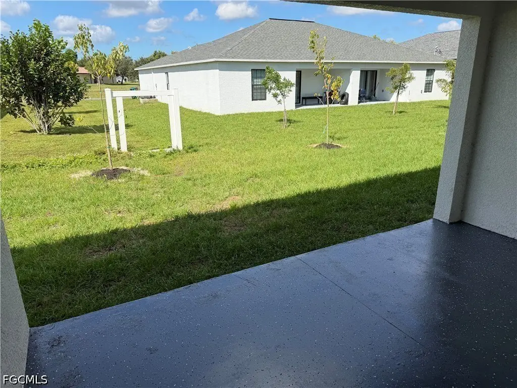 Picture 11