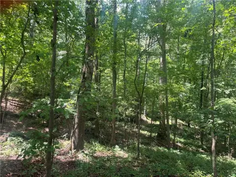 6-Acre Wooded Lot in Ball Ground