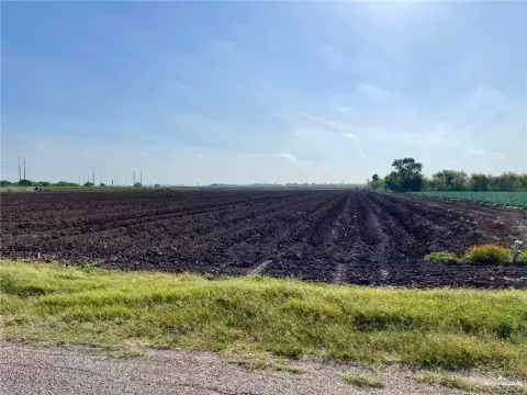 Progreso, TX Farmland Opportunity