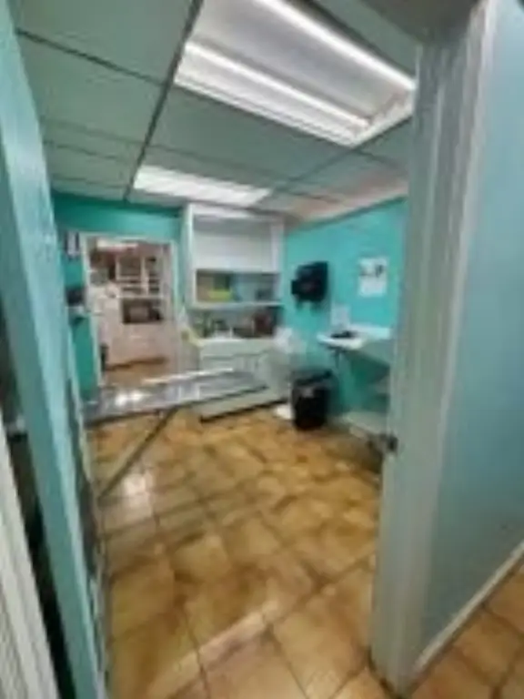 Picture 14
