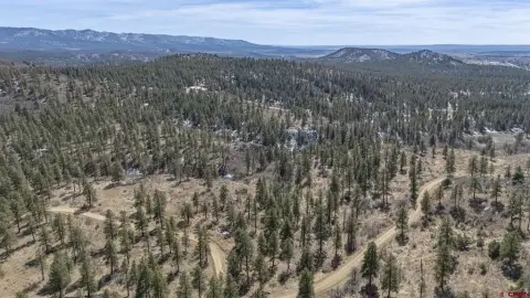 35 Acres of Prime Land