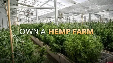 Productive Farm with Agri-Tourism Potential