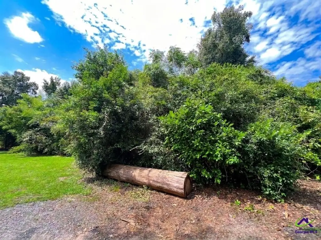 Picture 5