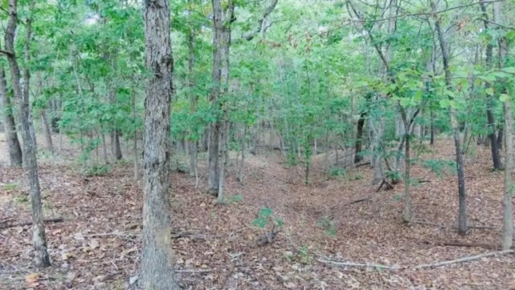 Picture 9