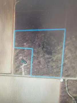 6-Acre Wooded Land for Recreation