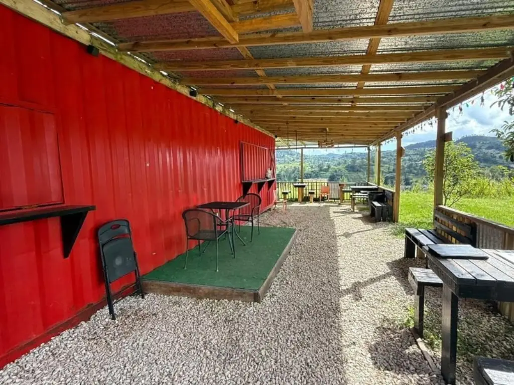 Picture 12