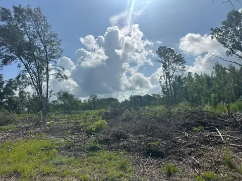 Undeveloped Land in Saint George