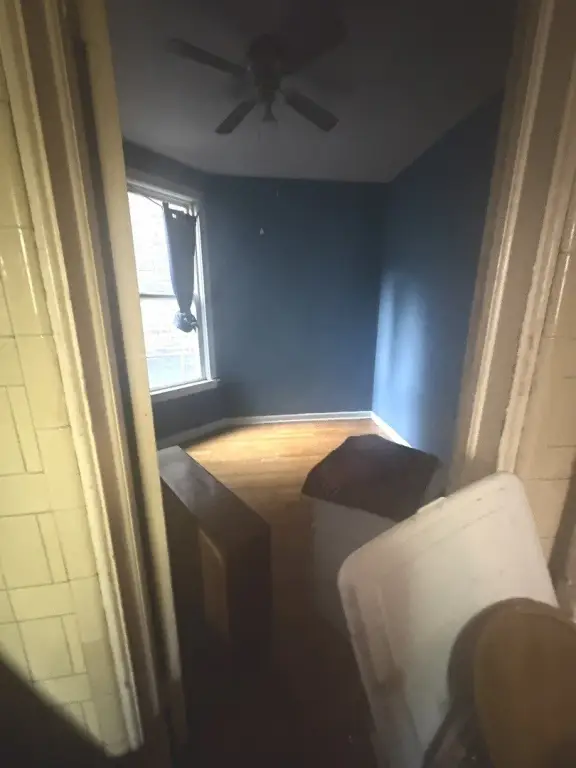 Picture 5