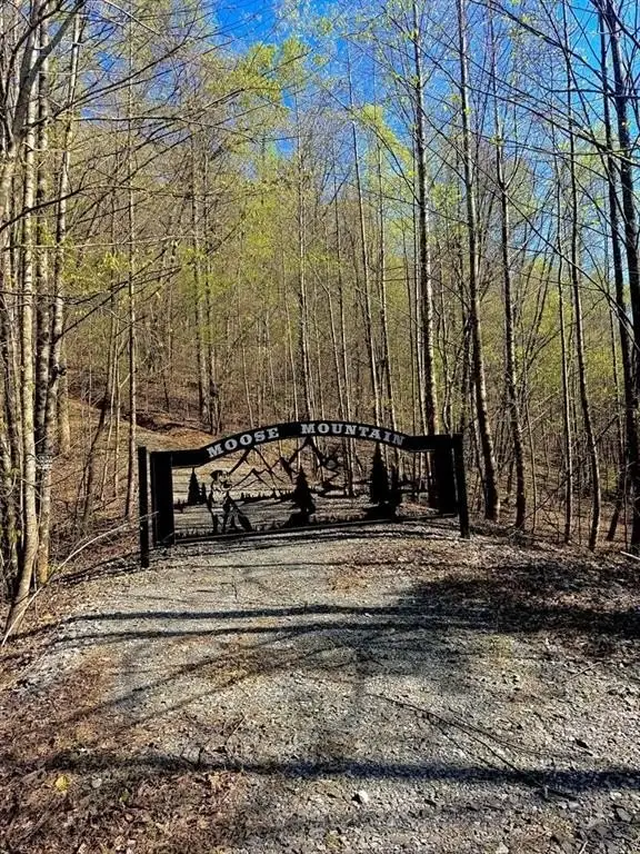 Picture 12