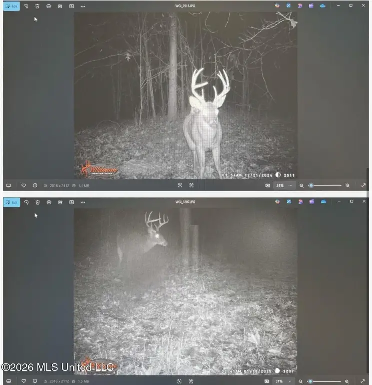 Picture 16