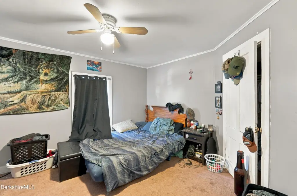 Picture 42