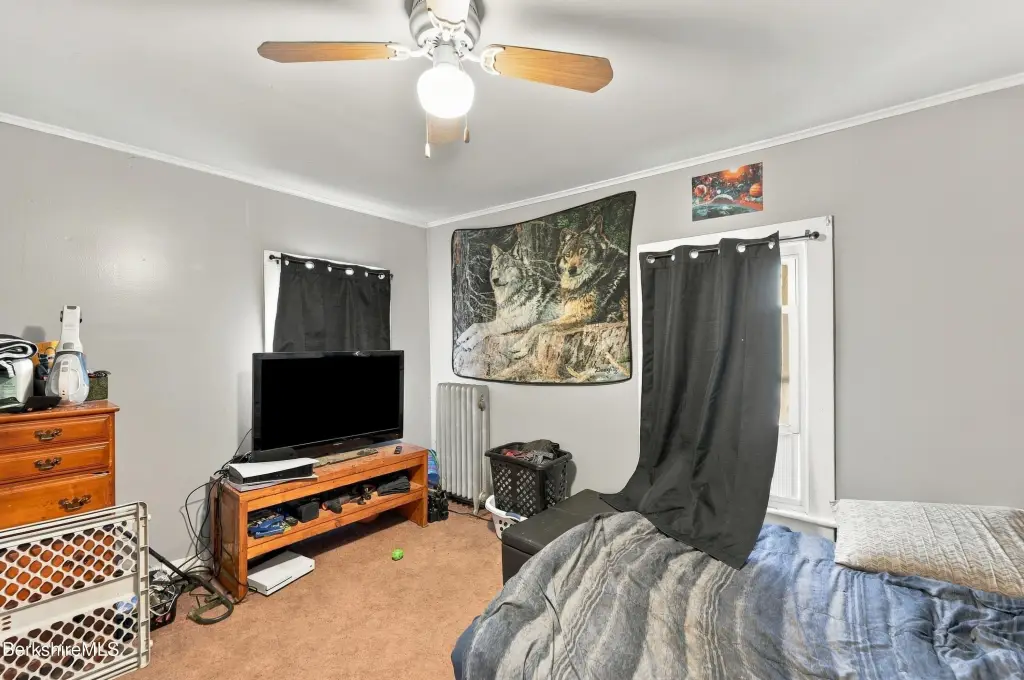Picture 44