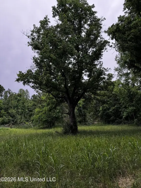 Picture 25
