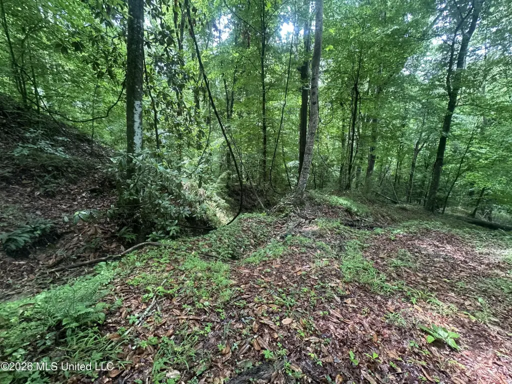Picture 19