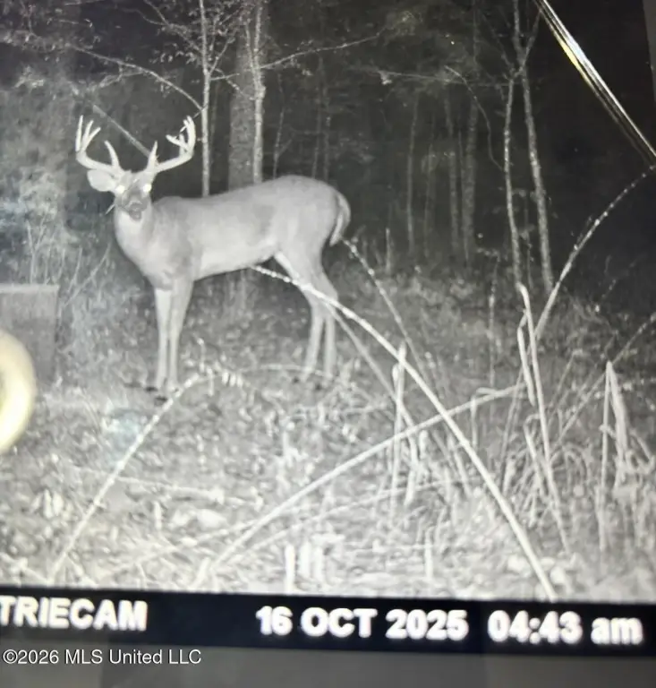 Picture 35