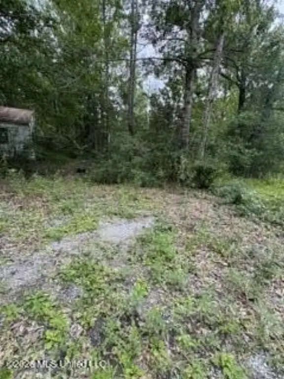 Picture 8