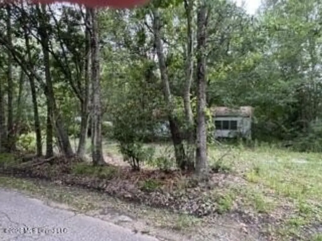 Picture 11