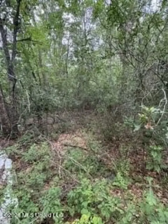 Picture 5