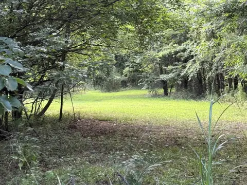 Unrestricted Acreage for Custom Build