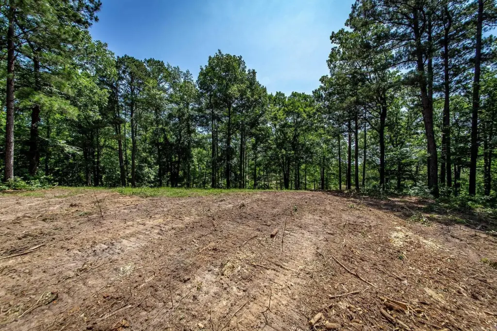 Picture 46