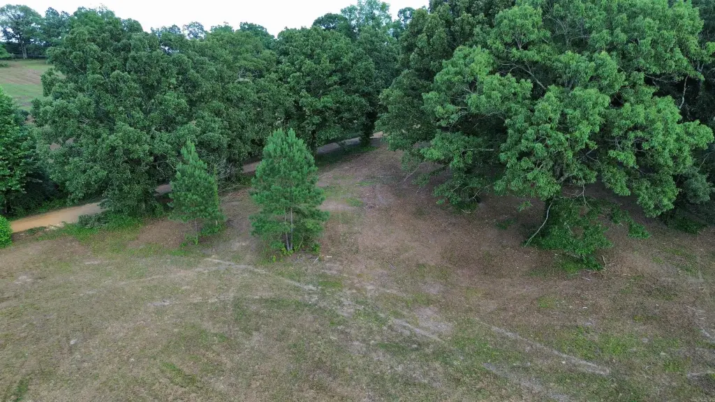 Picture 15