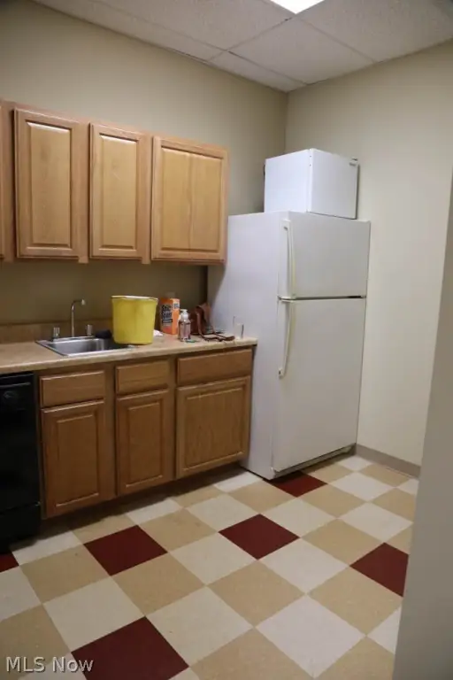 Picture 11