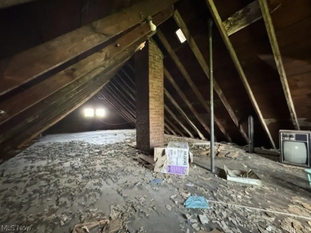 Picture 16