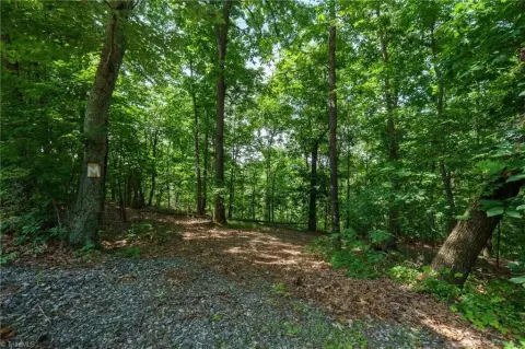 Creek Front Lot in Moravian