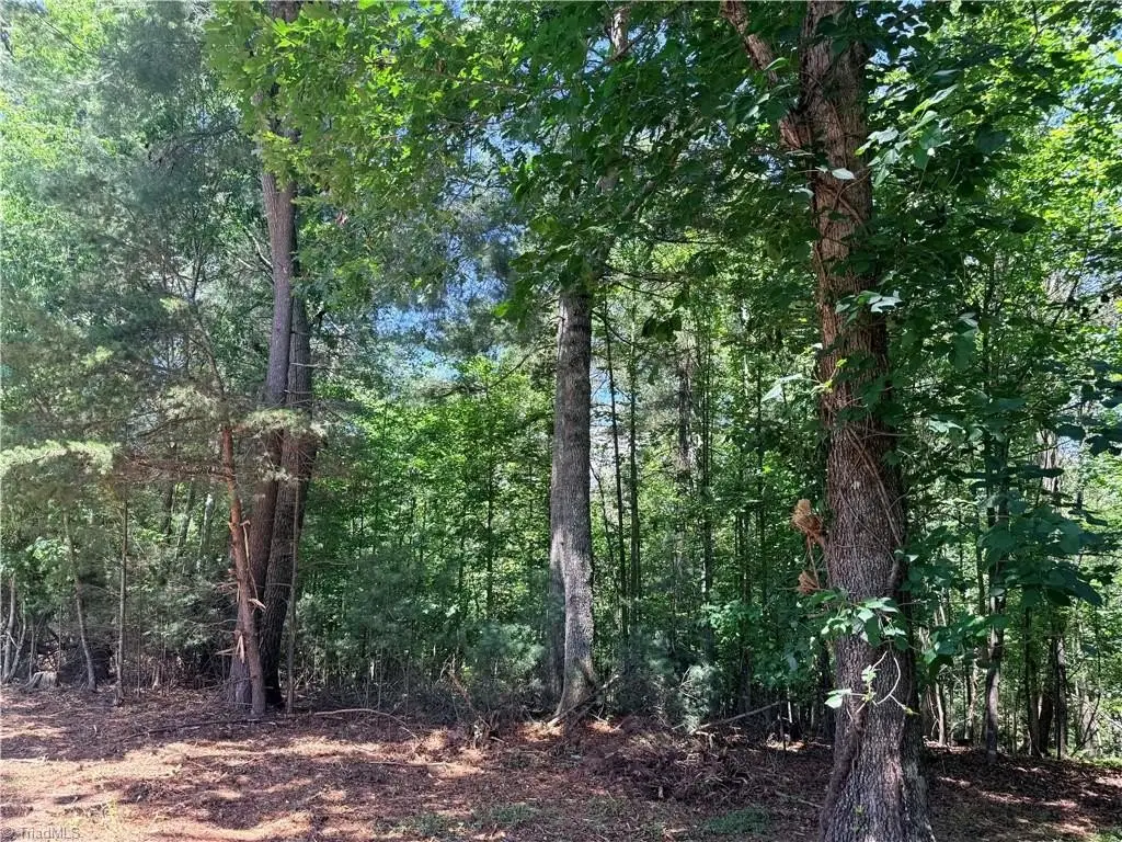 Picture 21