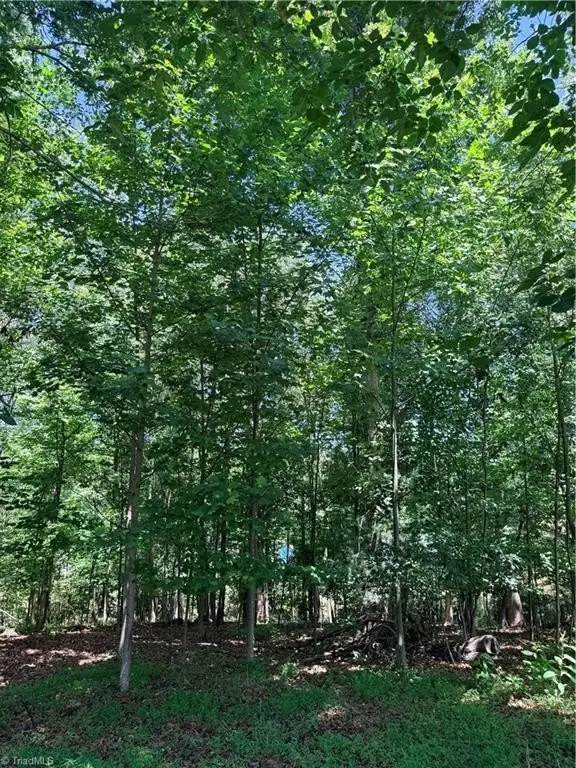 Picture 25