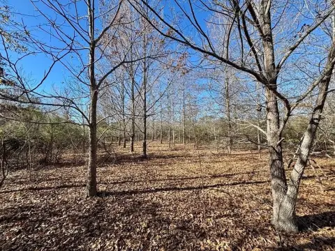 Waterproof, LA Farm/Estate Opportunity