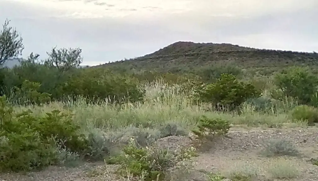 Picture 16