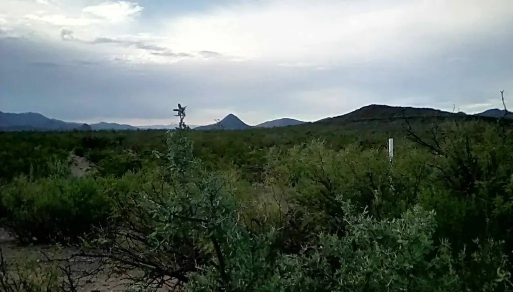 Picture 17