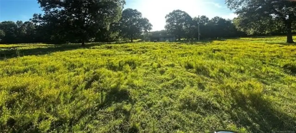Picture 12
