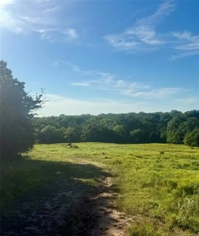 Picture 4