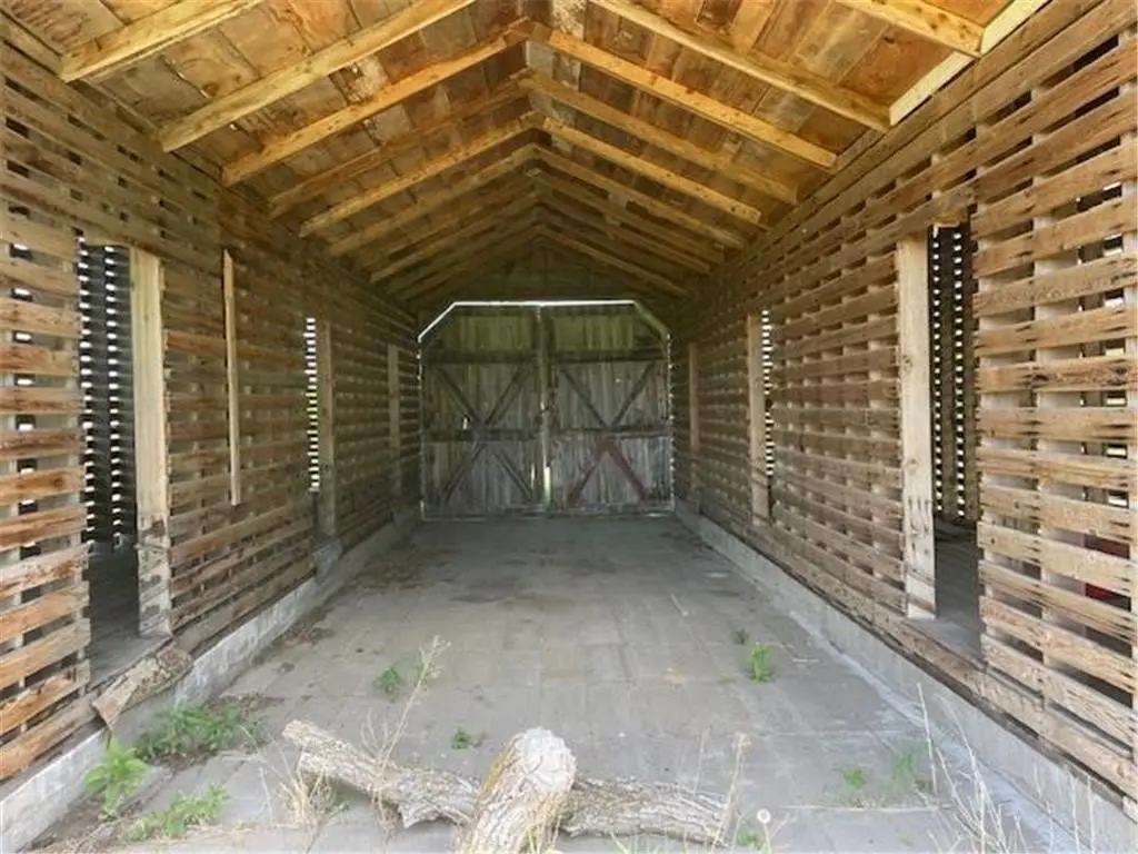 Picture 8