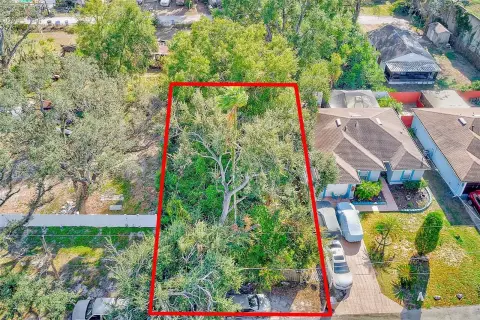 Tampa Vacant Lot Build Opportunity