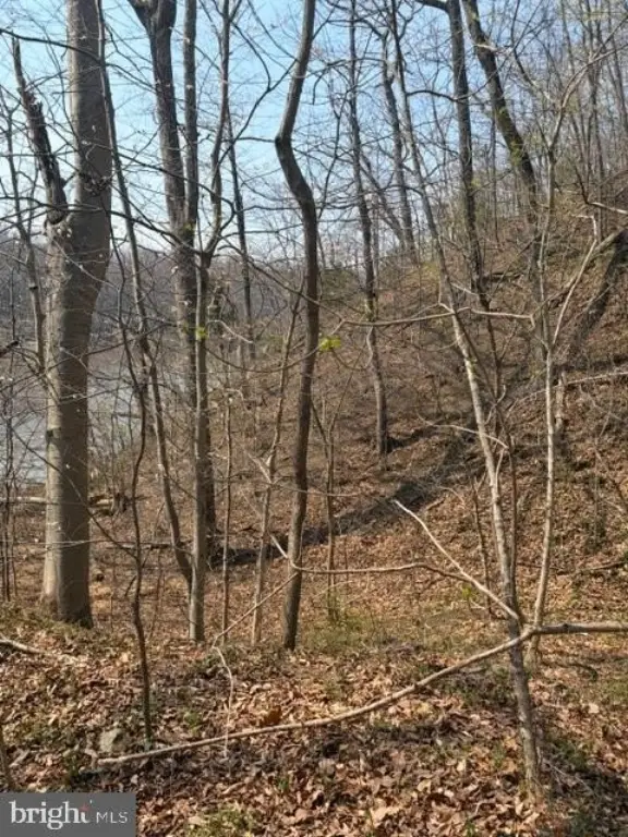 Picture 10
