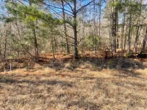 8.2 Acres Wooded Residential Land