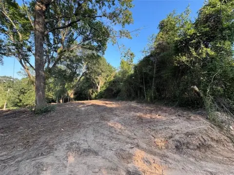 Unimproved Land in Athens, TX