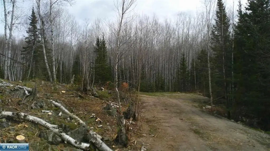 Picture 7