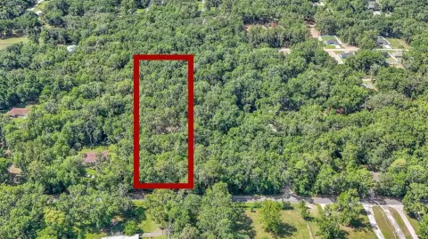 Belleview Land Parcel For Sale