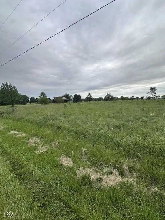 Picture 6