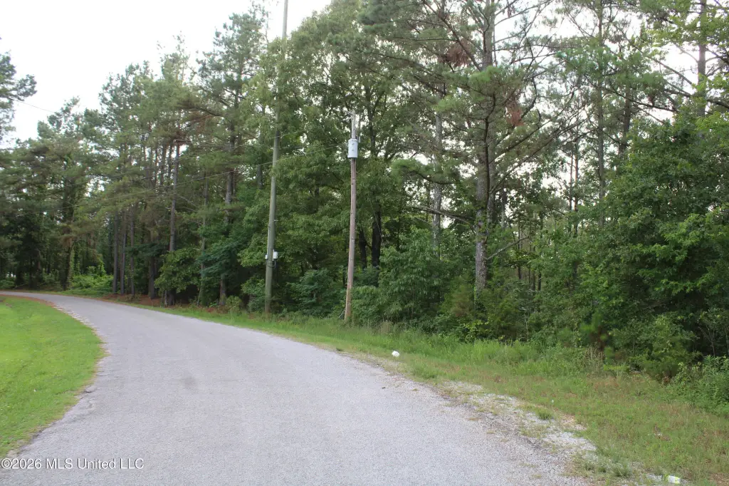Picture 3