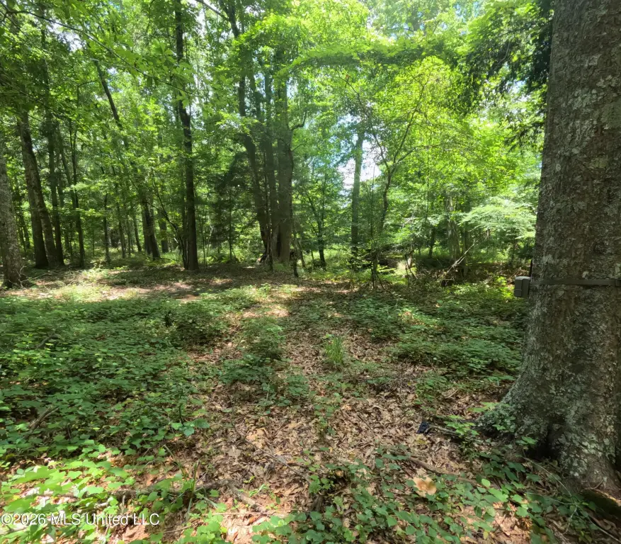 Picture 31