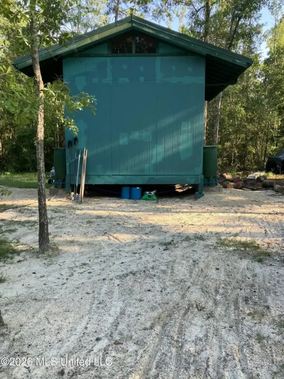 Picture 5