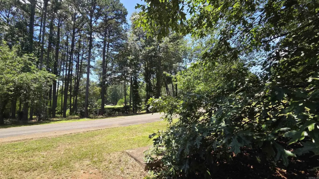 Picture 15