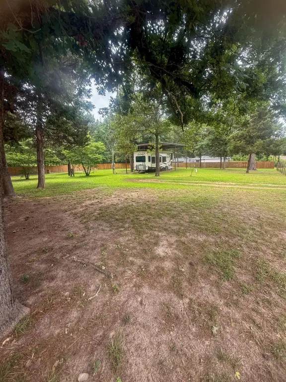 Picture 7