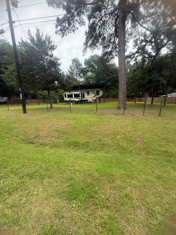 Picture 5