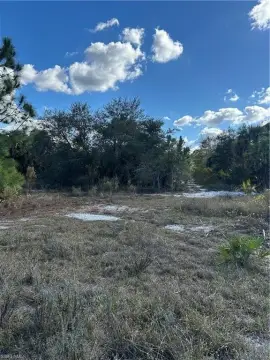 Wooded Land Parcel in Naples